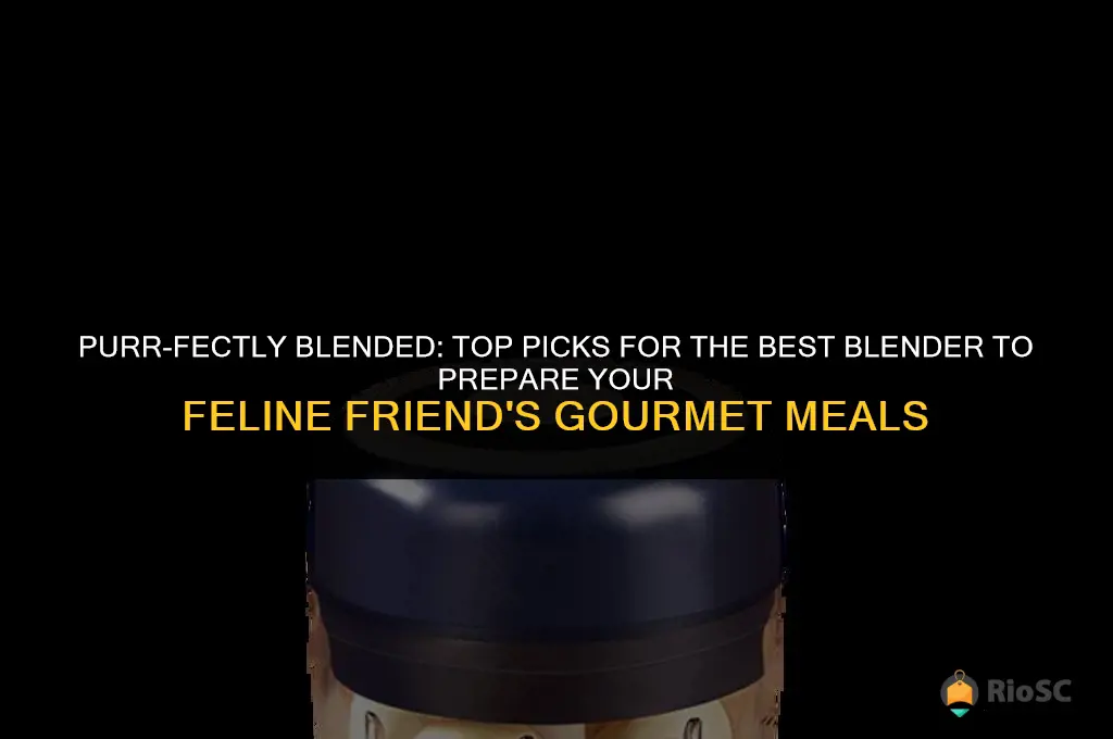 best blender for cat food