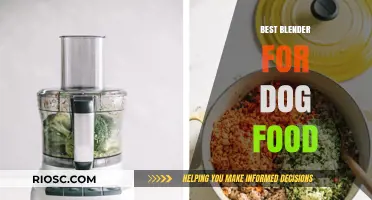 Top-Rated Blenders for Homemade Dog Food: A Comprehensive Guide
