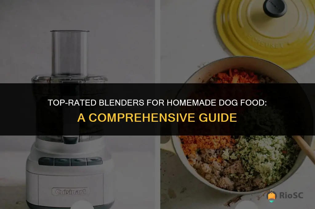 best blender for dog food