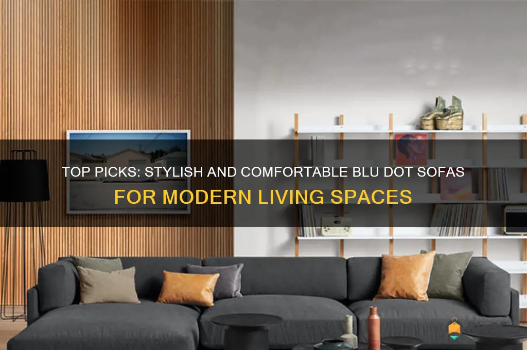best blu dot sofa