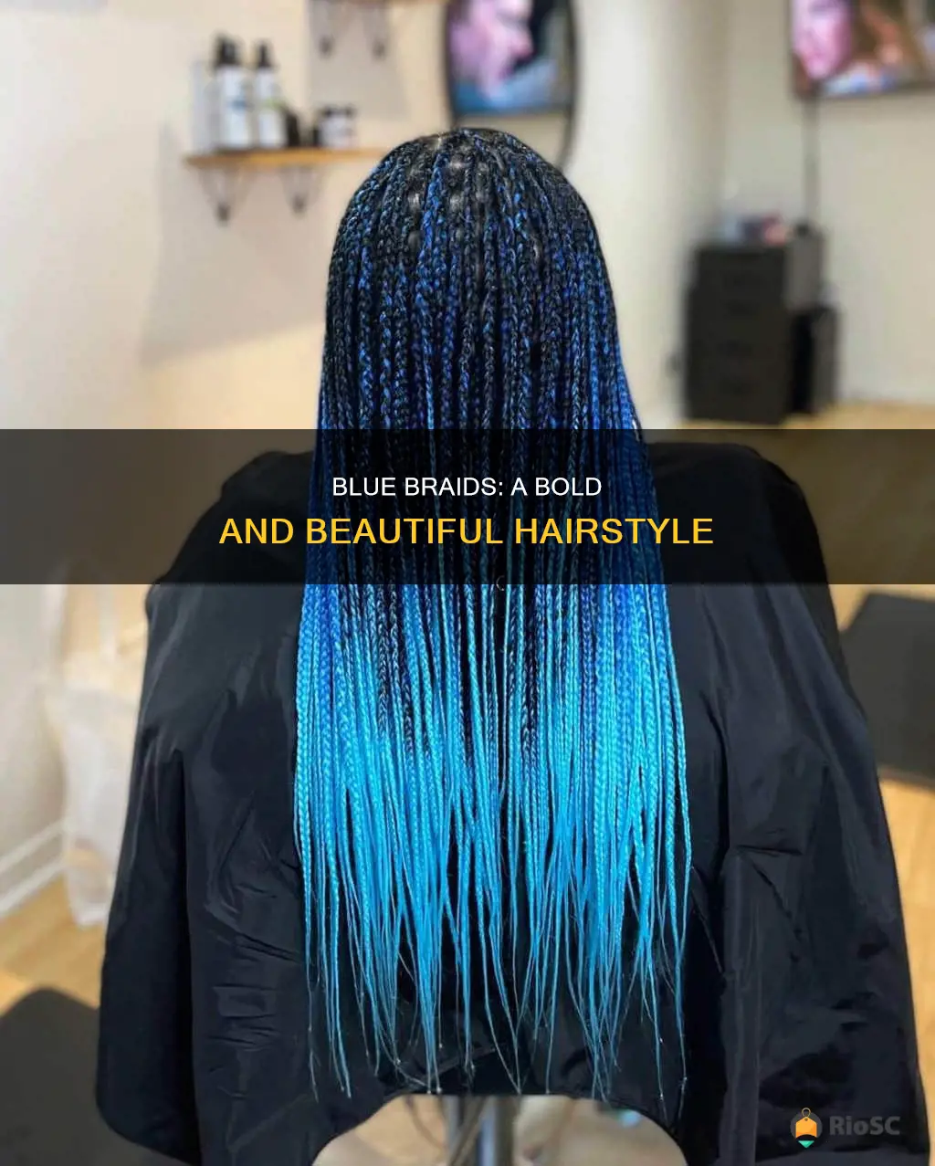 best blue braided hair