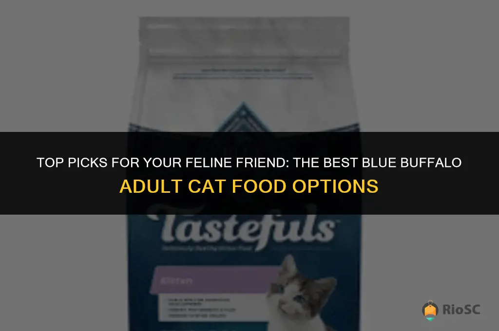 best blue buffalo adult cat food