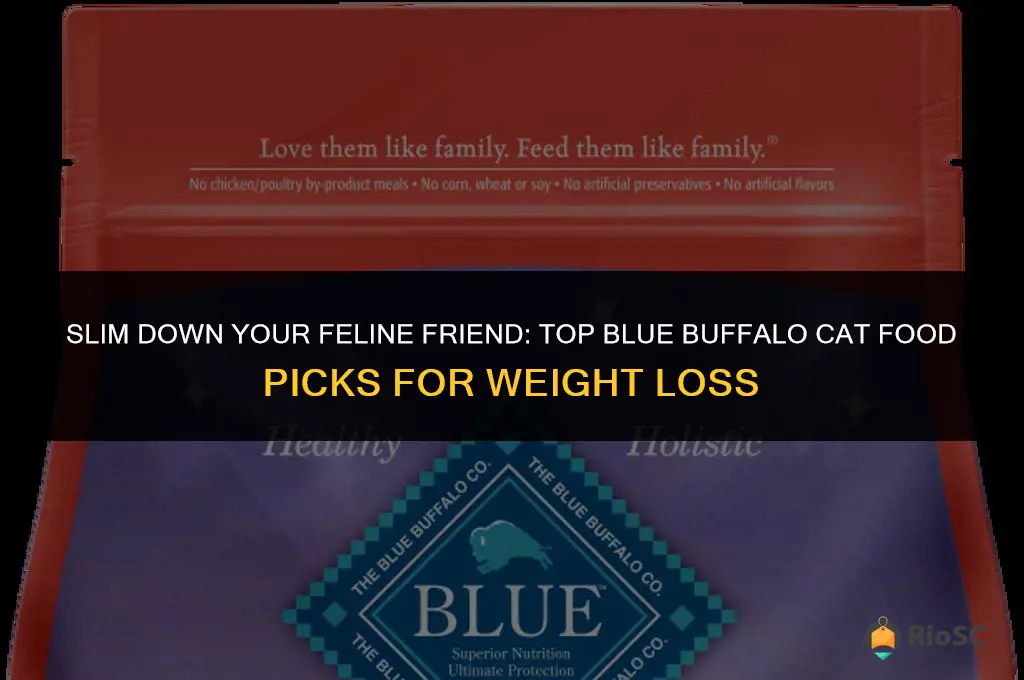 best blue buffalo cat food for weight loss