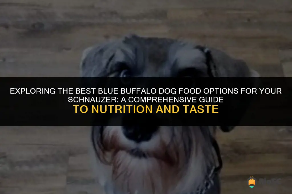 best blue buffalo dog food basics 35 1b schnauzer