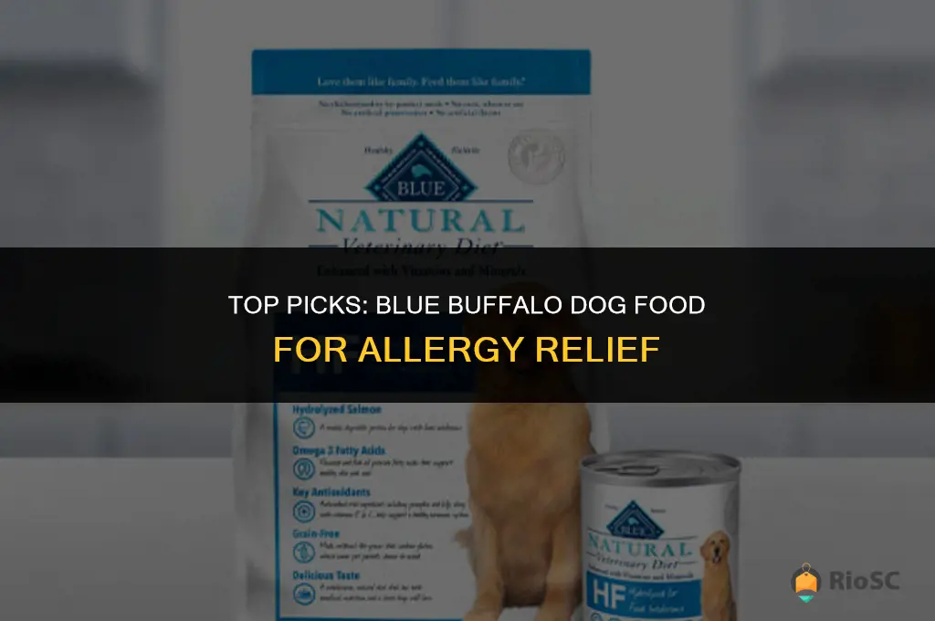 best blue buffalo dog food for allergies