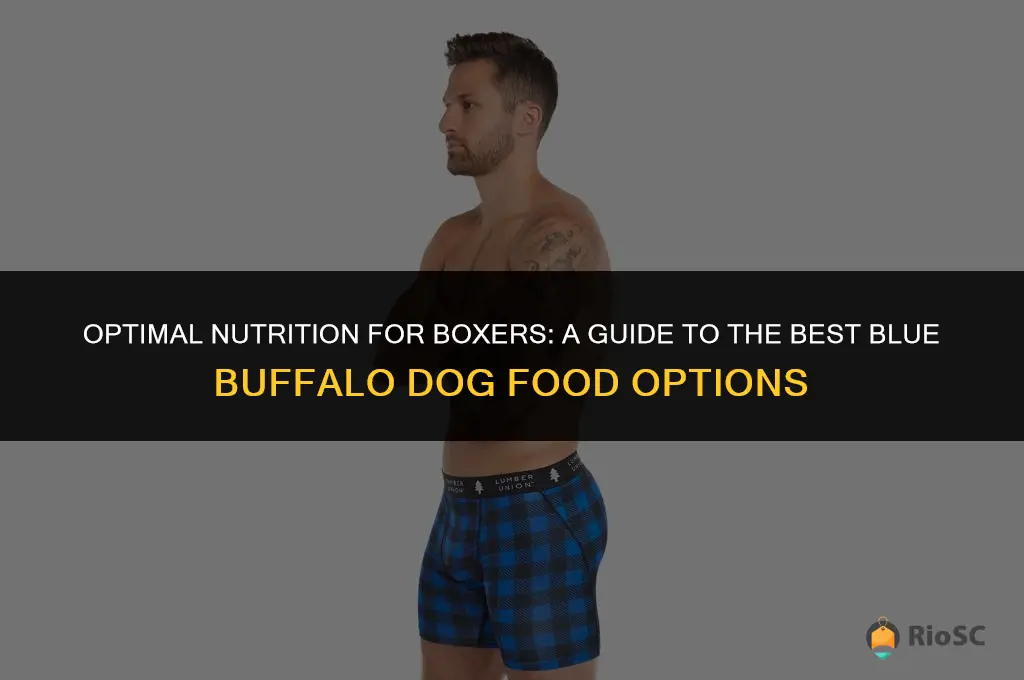 best blue buffalo dog food for boxers