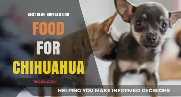Top Blue Buffalo Dog Food Picks for Your Chihuahua Companion