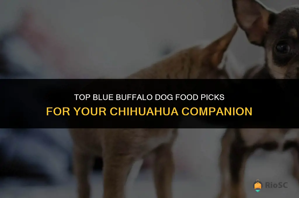 best blue buffalo dog food for chihuahua