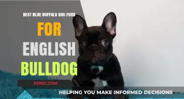 Top Blue Buffalo Dog Food Picks for Your English Bulldog