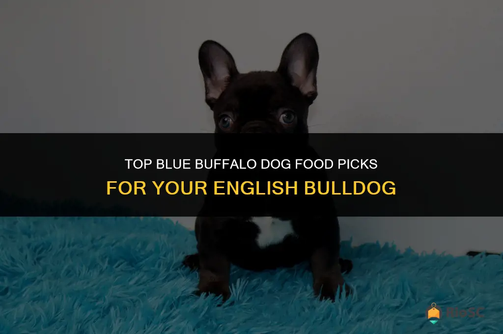 best blue buffalo dog food for english bulldog