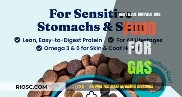 Top Blue Buffalo Dog Food Picks to Help Reduce Gas in Your Furry Friend
