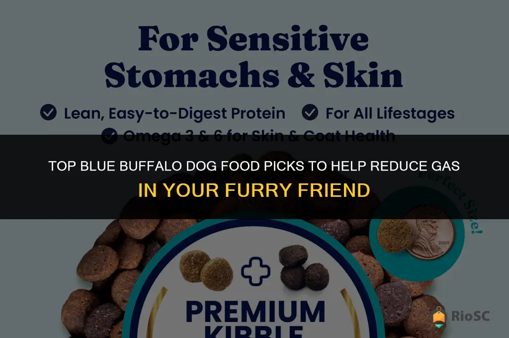 best blue buffalo dog food for gas