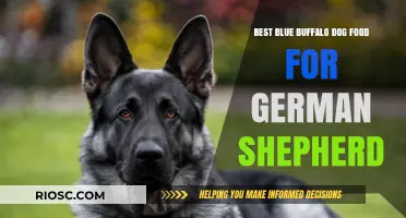 Top Blue Buffalo Dog Food Picks for Your German Shepherd's Nutritional Needs