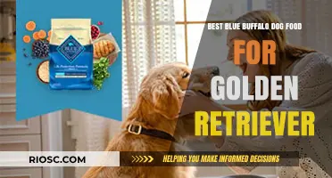 Top Blue Buffalo Dog Food Picks for Your Golden Retriever