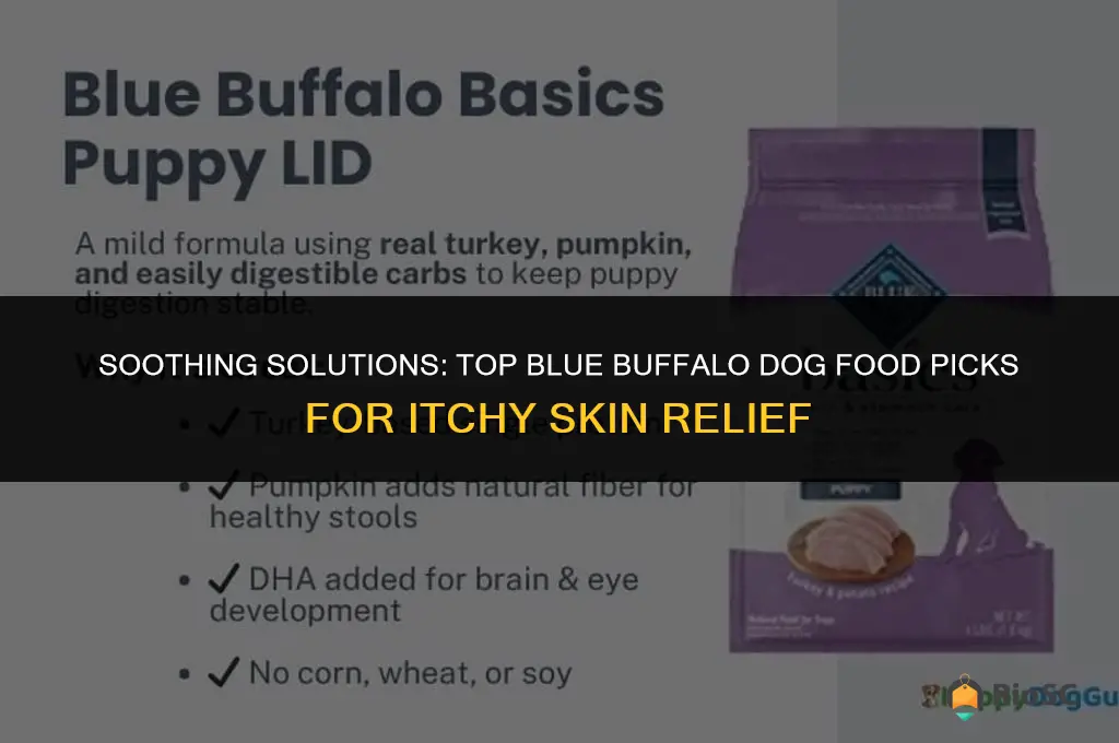 best blue buffalo dog food for itchy skin