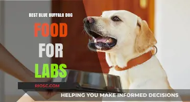 Top Picks: Blue Buffalo Dog Food for Labrador Retrievers
