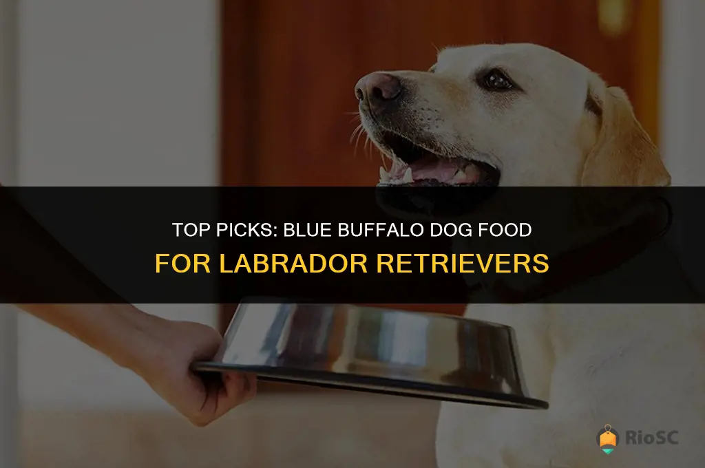 best blue buffalo dog food for labs