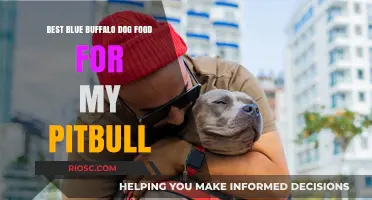 Top Blue Buffalo Dog Food Picks for Your Pitbull: A Comprehensive Guide