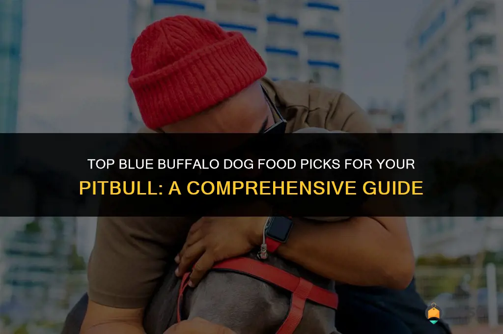 best blue buffalo dog food for my pitbull