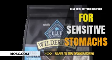 Top Picks: Blue Buffalo Dog Food for Sensitive Stomachs