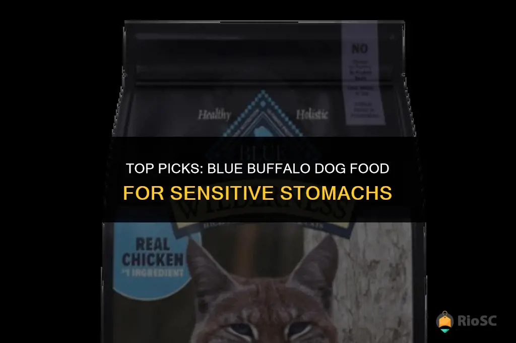 best blue buffalo dog food for sensitive stomachs