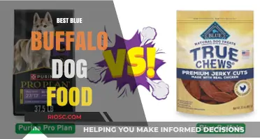 Top Picks for Blue Buffalo Dog Food: Nutritious and Delicious Options for Your Furry Friend