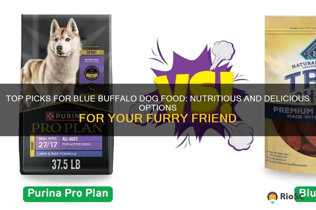 best blue buffalo dog food