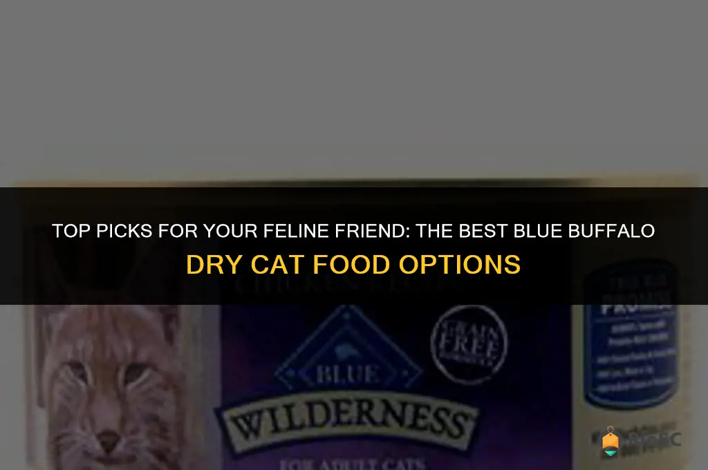 best blue buffalo dry cat food