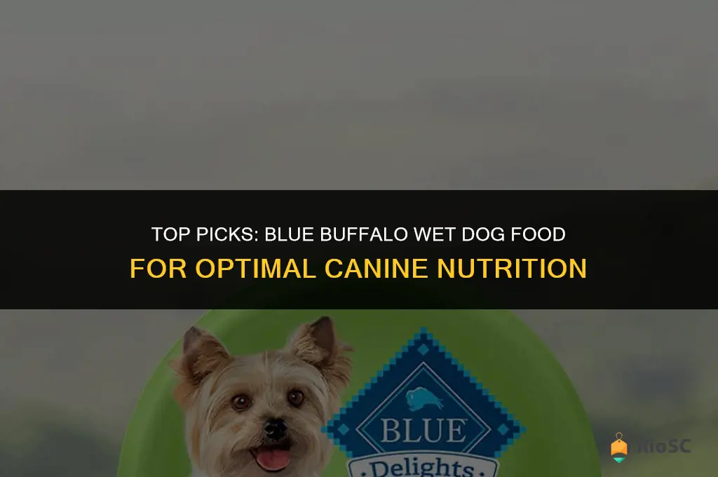 best blue buffalo wet dog food