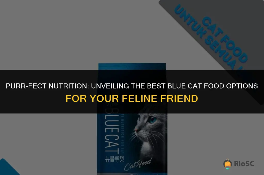 best blue cat food