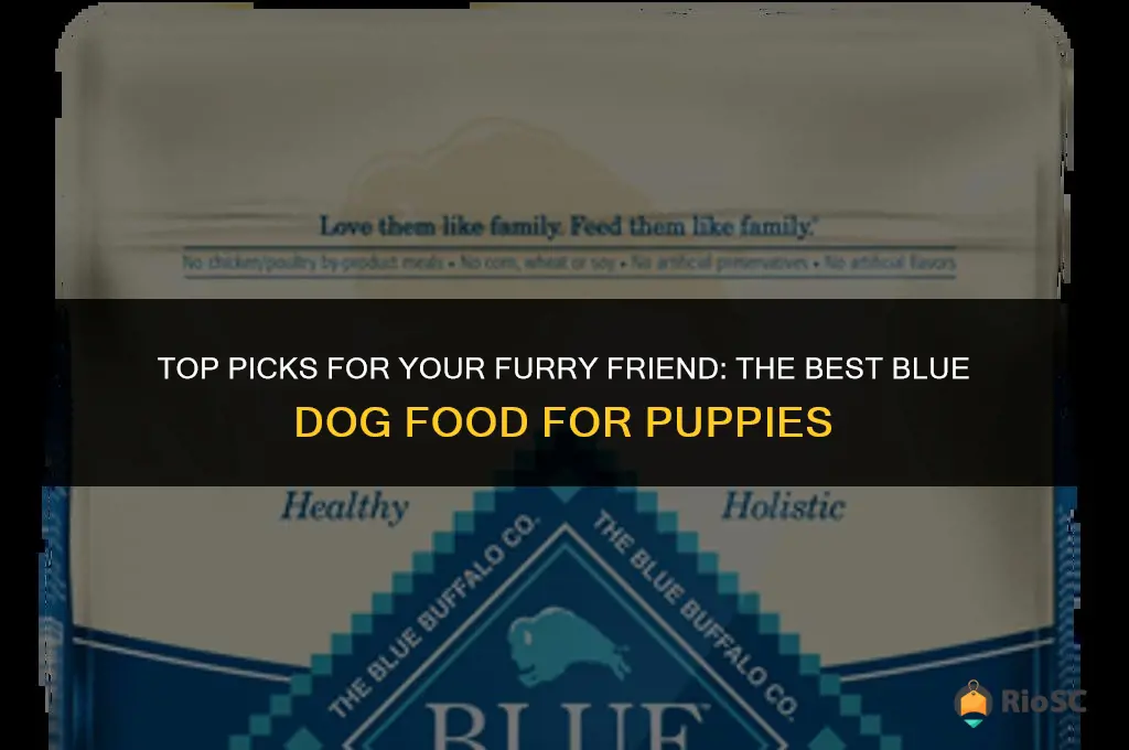 best blue dog food for puppies
