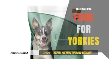 Top Picks: Premium Blue Dog Food Options for Your Yorkshire Terrier