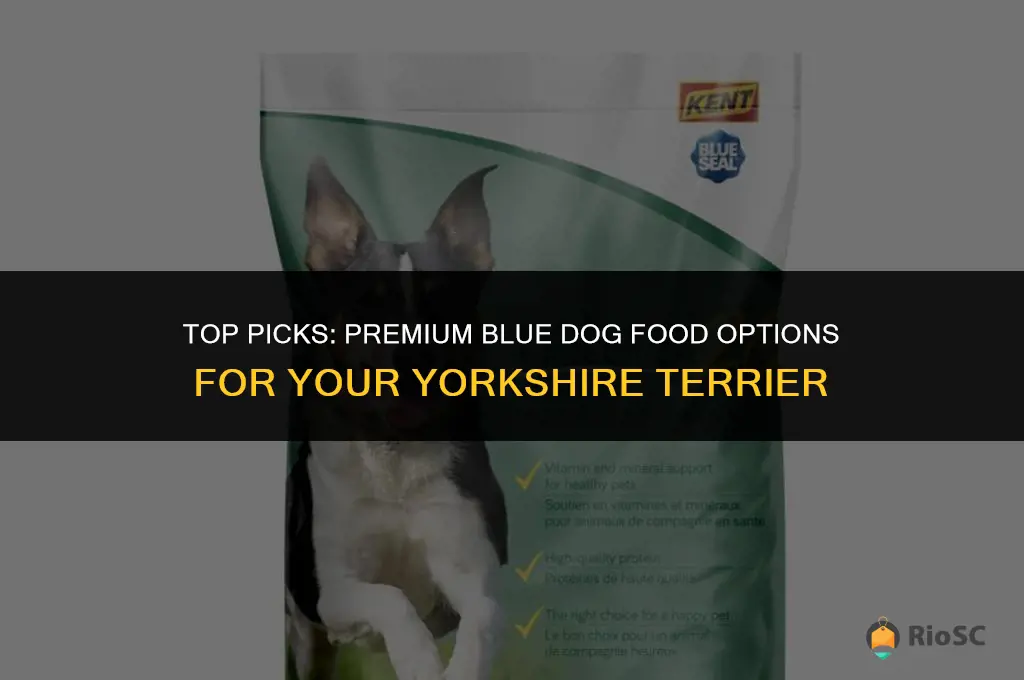best blue dog food for yorkies