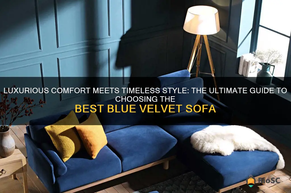best blue velvet sofa