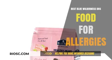 Top Picks for Blue Wilderness Dog Food to Combat Allergies
