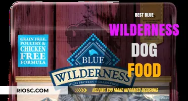Exploring the Top Blue Wilderness Dog Food Options for Your Furry Friend