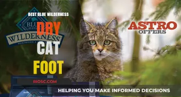 Exploring the Top Blue Wilderness Dry Cat Food Options: A Comprehensive Guide for Feline Nutrition