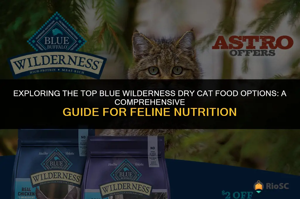 best blue wilderness dry cat foot