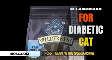 Top Blue Wilderness Food Choices for Diabetic Cats: A Comprehensive Guide