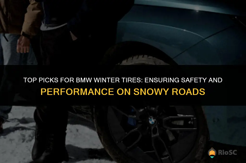 best bmw winter tires