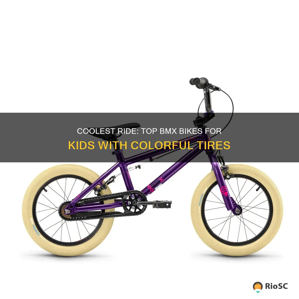 best bmx bikes for kids with colored tires