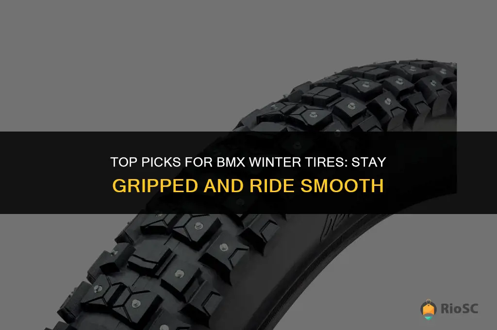 best bmx winter tires
