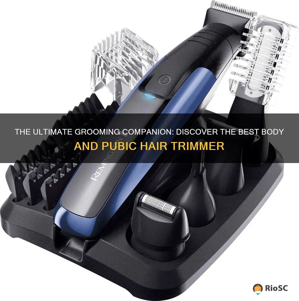 best body and pubic hair trimmer