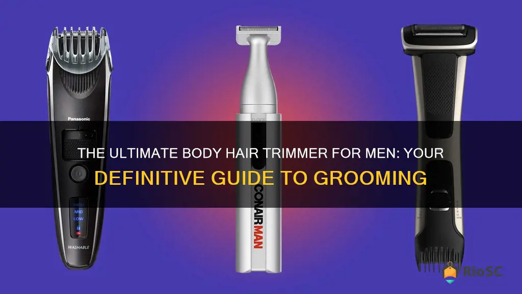 best body hair trimmer male