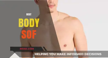 Discover the Best Body Sof: Top Picks for Comfort and Support