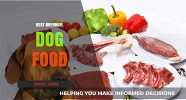 Top Nutrition Picks: The Best Boerboel Dog Food for Optimal Health