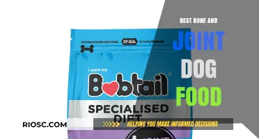 Nourishing Your Furry Friend: Top Picks for Bone and Joint Health in Dog Food