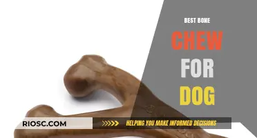 Top Picks: The Best Bone Chews to Keep Your Dog Happy and Healthy