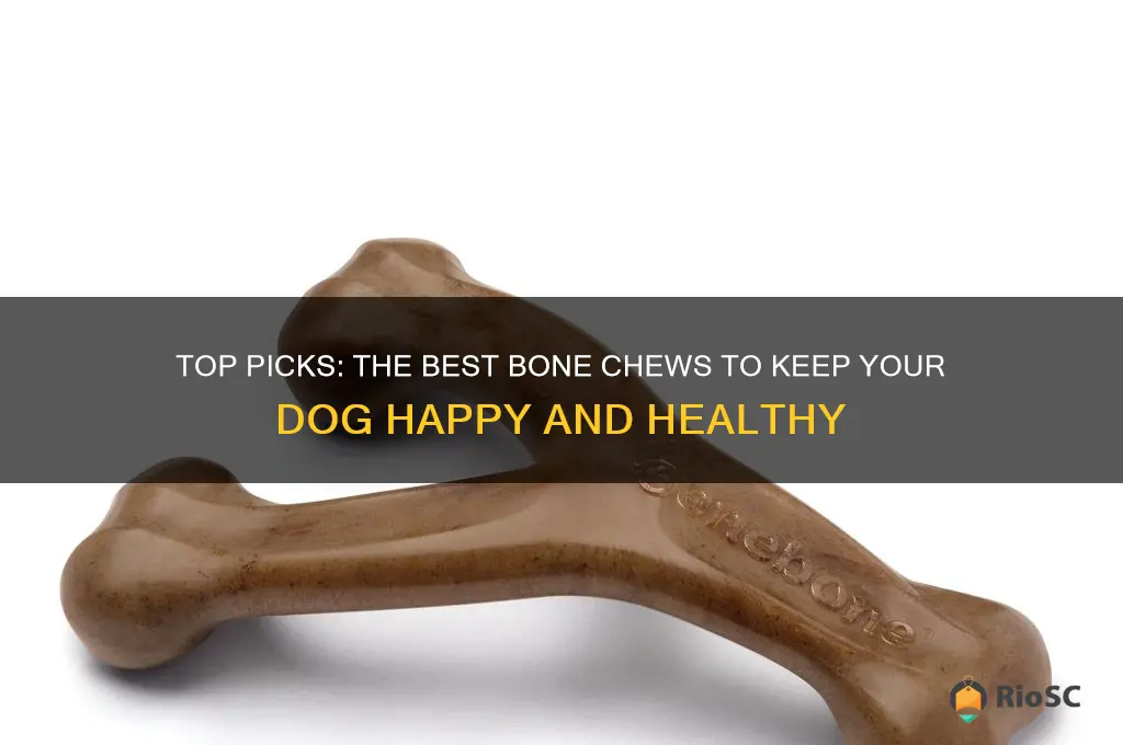 best bone chew for dog