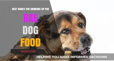 Top Bone Picks: Nutritious Grinds for Your Rae Dog's Diet